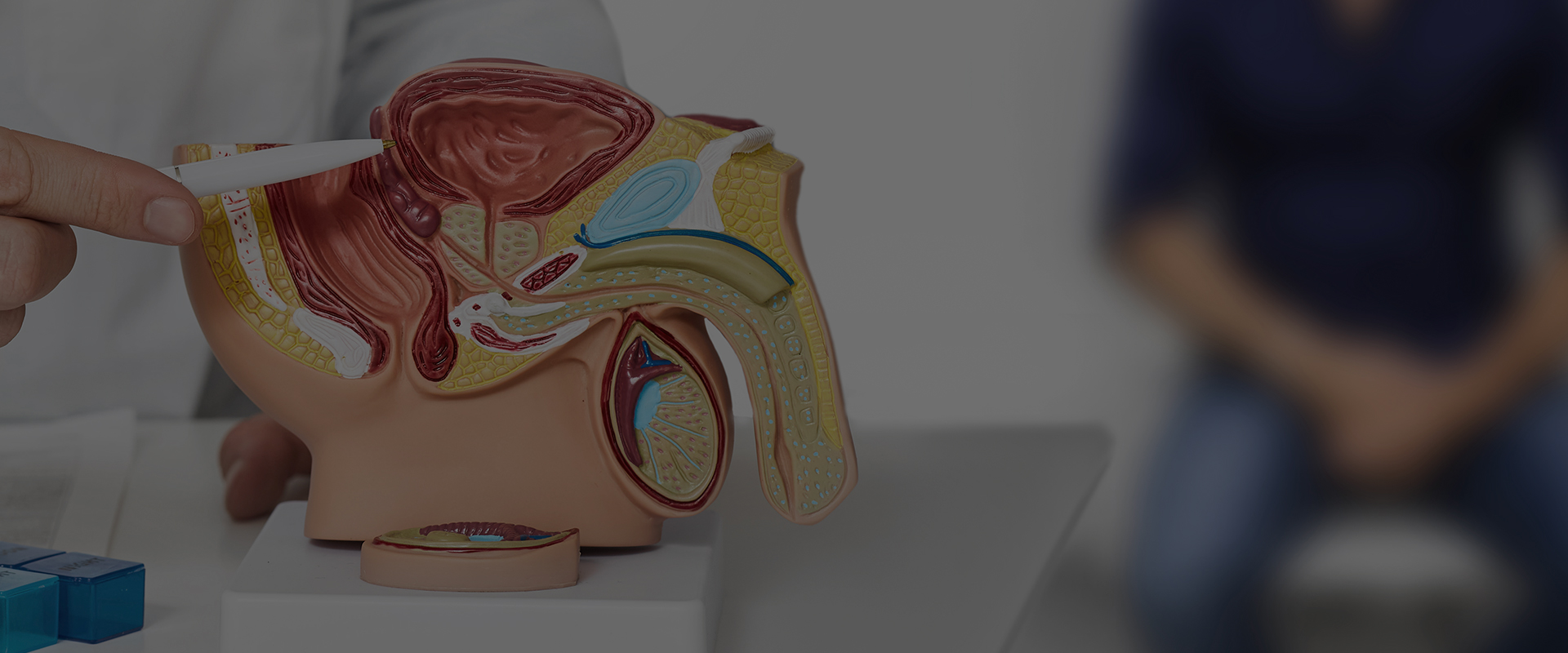 서브 비주얼 이미지